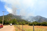 Kimisi Siseyle Söndürdü, Kimisi Hortumu Tuttu, Kimisi Su Tasidi