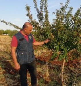 Malatya'da Piknik Yapanlara Yangin Uyarisi