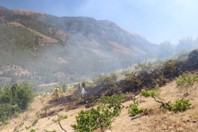Pozanti'daki Orman Yangini Söndürüldü