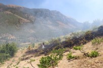 Pozanti'daki Orman Yangini Söndürüldü