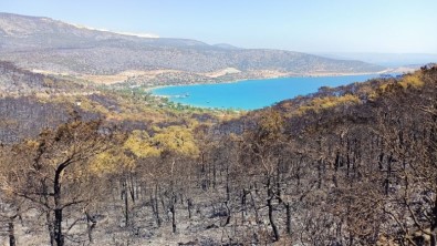 Silifke'de Orman Yangini Devam Ediyor