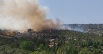 Uşak ve Hatay'da yangın!