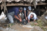 Yüksekova'da Sel Felaketi Açiklamasi 500 Koyun Sele Kapildi, Telef Oldu Ve Kayboldu