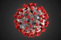 4 Temmuz koronavirüs verileri açıklandı!