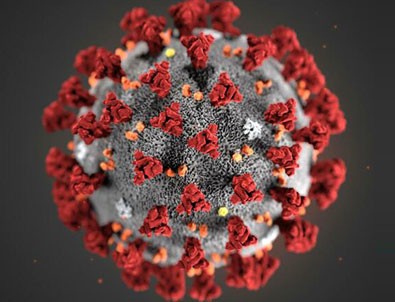 5 Temmuz koronavirüs tablosu!