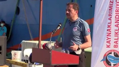 Antalya'da Balon Baligi Alimlari Basladi