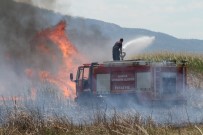  SU  - Beysehir Gölü Kenarindaki Sazlik Alan Alev Alev Yandi