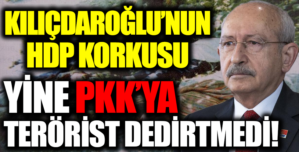 Kılıçdaroğlu'nun HDP korkusu PKK'ya terörist dedirtmedi!