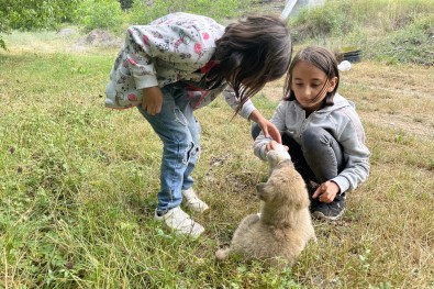 Köyün Gençleri Annesiz Kalan Yavru Köpegi Biberonla Besliyor