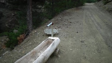 Kurakliktan 100 Yildir Akan 'Cavur Pinari' Da Kurudu