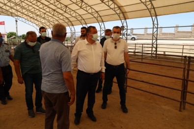 Ramazan, Kurban Pazarini Denetledi