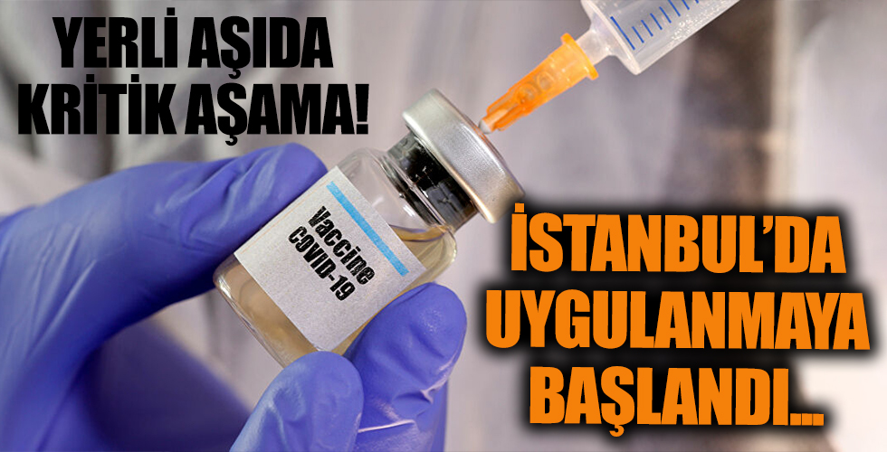 Yerli aşıda kritik gelişme! İstanbul'da uygulanmaya başlandı...