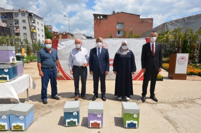 Karabük'te Damizlik Ana Ari Ve Ana Ari Çiftlestirme Kovanlari Dagitildi