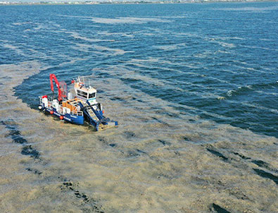 Müsilaj Komisyonu üyeleri belirlendi!