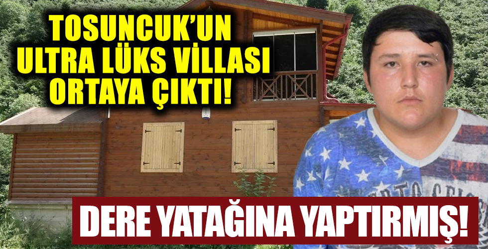 'Tosuncuk' Mehmet Aydın'ın Giresun'da dere yatağına kaçak villa yaptırdığı ortaya çıktı!
