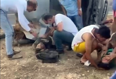 Mersin'de Trafik Kazasi Açiklamasi 1'I Agir 4 Yarali