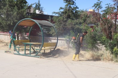 Siirt'te Park Ve Bahçelerde Temizlik Ve Bakim Çalismalari