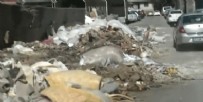 İZMİR'DE ÇEVRE KATLİAMI - İzmir'de yine çevre katliamı! Her yer çöp...