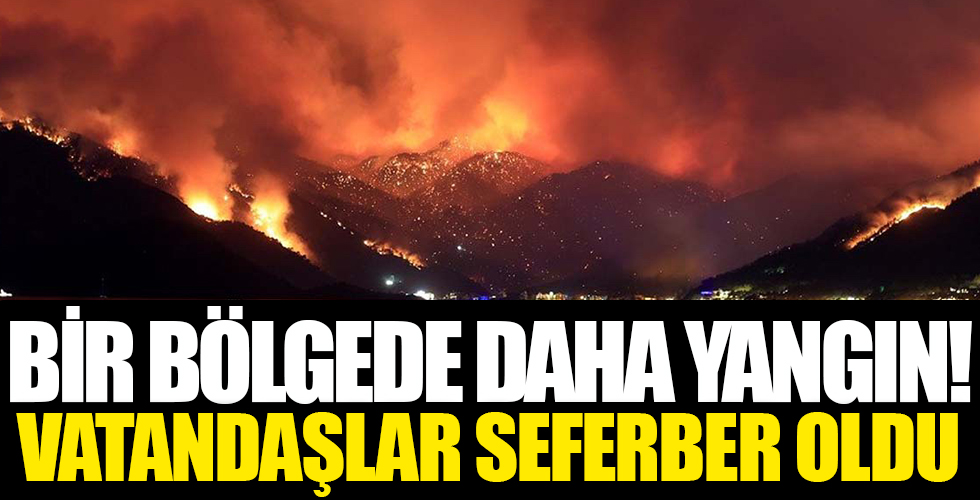 Bir bölgede daha yangın çıktı!