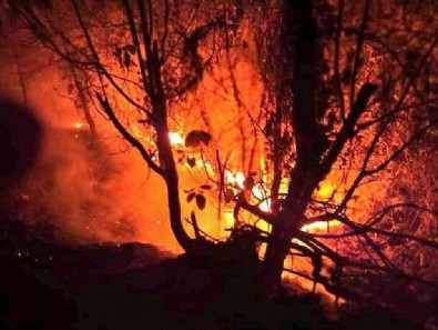 Bir yangın da Samsun'da! 7 hektarlık alan zarar gördü