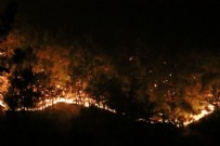 Felaket simsarları işbaşında!