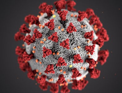 10 Ağustos koronavirüs rakamları!