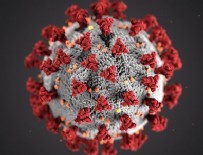 10 Ağustos koronavirüs rakamları!