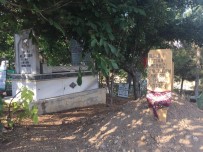 Anne Kizin Aci Kaderi