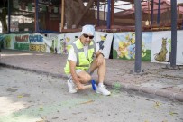 Büyüksehir Belediyesi, Tarsus Yari Maratonunun Hazirliklarina Basladi