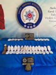Hatay'da Uyusturucu Operasyonu