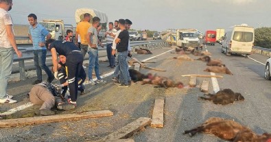 Iğdır'da korkunç kaza! Onlarca hayvan telef oldu...