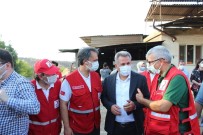 Kizilay'dan 'Her Kan 3 Fidan' Kampanyasi