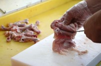 Tavuk Eti Üretimi Artiyor