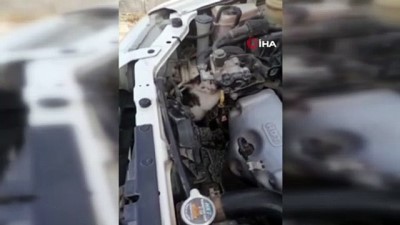 Tokat'ta Otomobilin Motor Kisminda Sikisan Kediyi Itfaiye Kurtardi