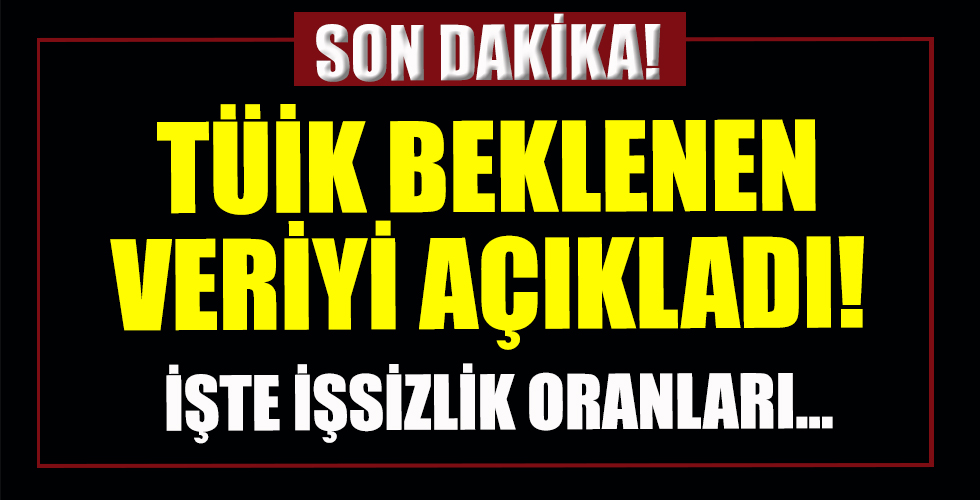 TÜİK açıkladı: Türkiye'de işsizlik geriliyor