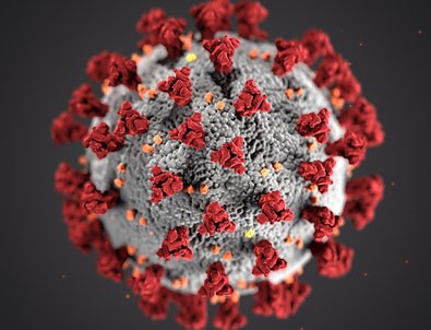 11 Ağustos koronavirüs tablosu açıklandı!