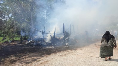 Ahir Ve Barakada Çikan Yanginda 2 Büyükbas Hayvan Telef Oldu