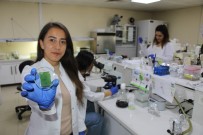 Amasya Üniversitesinden Diyabetik Yaralara Umut Olacak Çalisma
