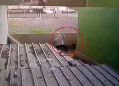 Atasehir'de Gözü Dönen Saldirgan Köpegi Sopa Ile Dövdü