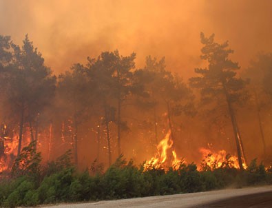 Bakan Pakdemirli duyurdu! İşte yangın desteklerinin detayları!
