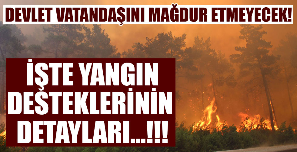 Bakan Pakdemirli duyurdu! İşte yangın desteklerinin detayları!