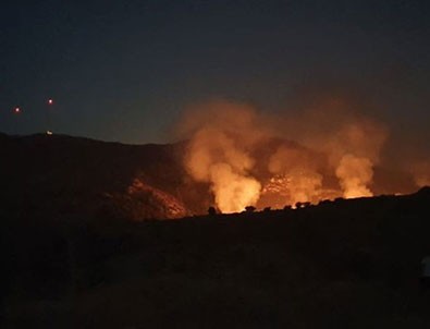 Bodrum Gümüşlük yangını kontrol altında!