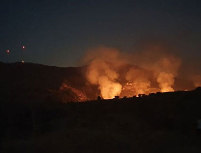 Bodrum Gümüşlük yangını kontrol altında!