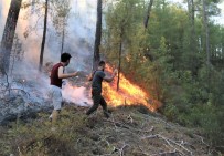 Bucak'ta Yanginin Ilerleyisi Devam Ediyor