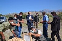 Çorum'da 300 Sülün Dogaya Salindi