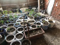 Evini Uyusturucu Serasina Dönüstürmüs