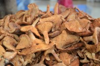 Findik Tirmidi Tezgahlarda