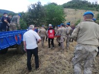 Kayip Olarak Aranan Alzheimer Hastasi Yasli Adam Bulundu