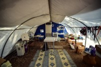 Marmaris'te Yanginda Zarar Gören Hayvanlarin Tedavisi Tamamlandi