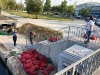 Menekse Plajinda Kaçak Midye Avciligi Yapanlara Operasyon